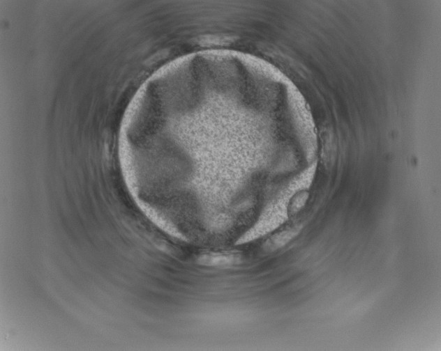 X0000076310655200610271940