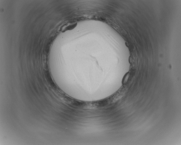 X0000076310656200610271940