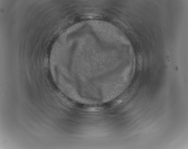 X0000076310657200610271940