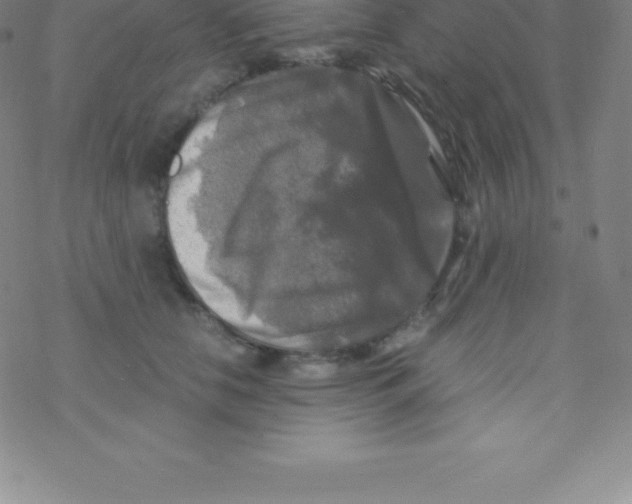 X0000076310658200610271940