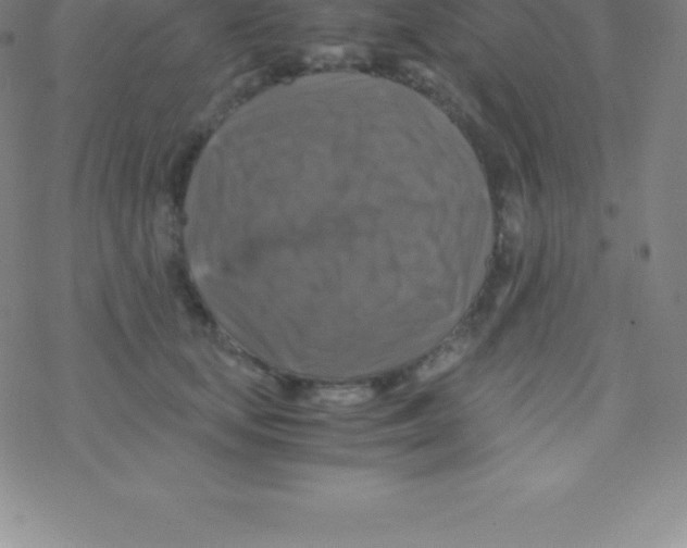 X0000076310659200610271940