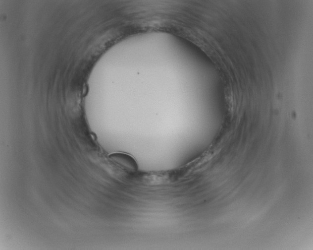 X0000076310660200610271940