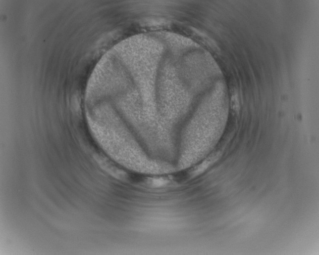 X0000076310662200610271940