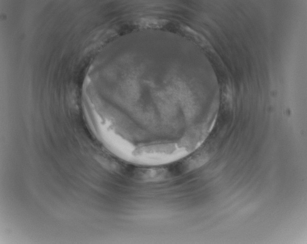 X0000076310663200610271940