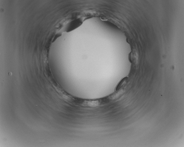 X0000076310665200610271940