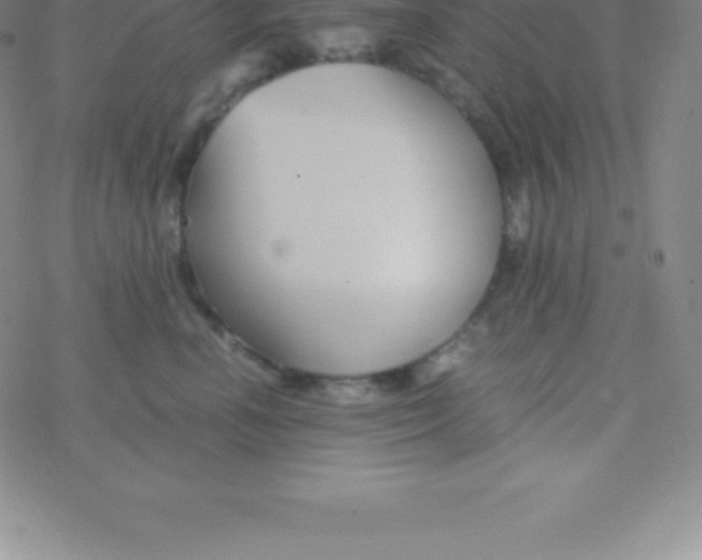 X0000076310666200610271940