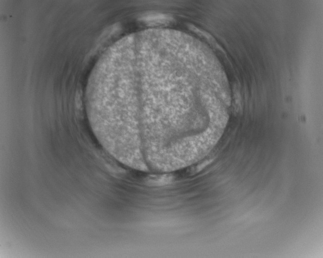 X0000076310667200610271941