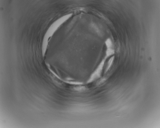 X0000076310669200610271941