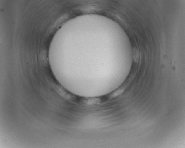 X0000076310670200610271941