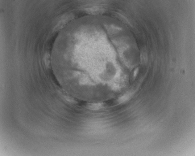 X0000076310671200610271941