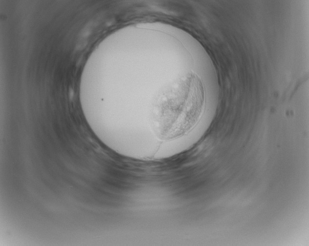 X0000076310672200610271941