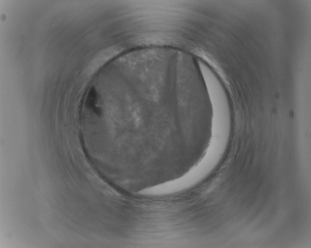 X0000076310673200610271940