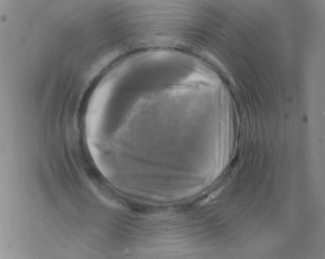 X0000076310674200610271940