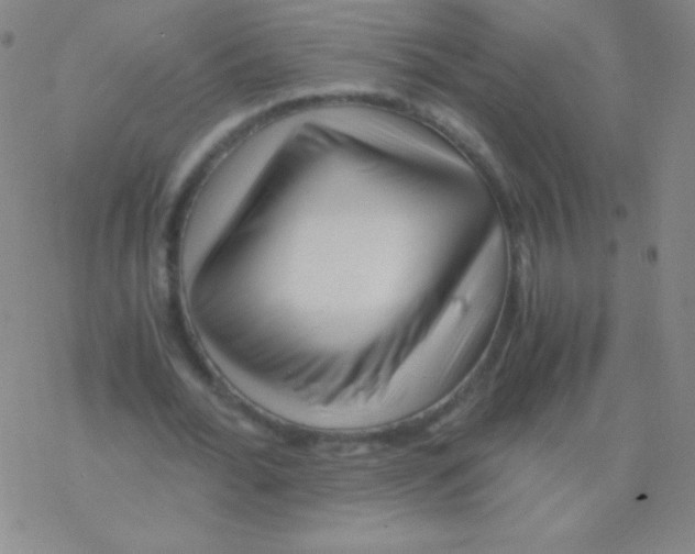 X0000076310676200610271940