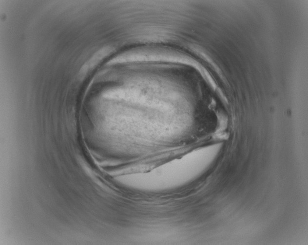 X0000076310677200610271940