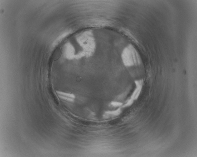 X0000076310679200610271940