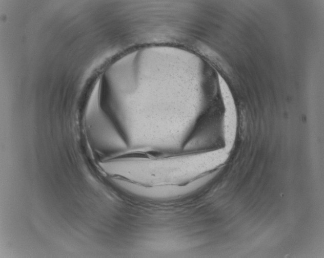 X0000076310680200610271940