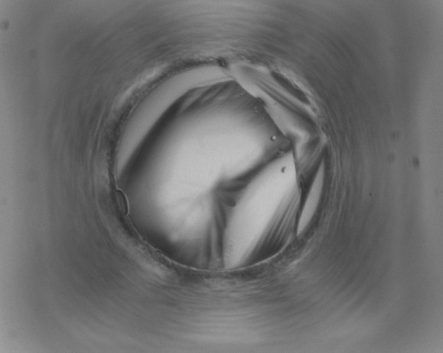 X0000076310681200610271940