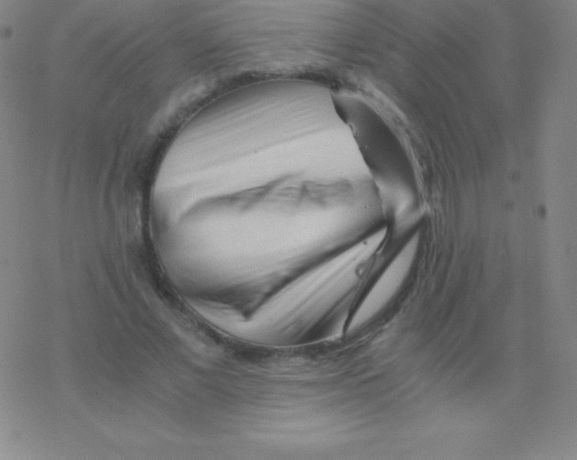 X0000076310685200610271940