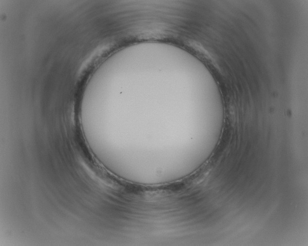 X0000076310686200610271940