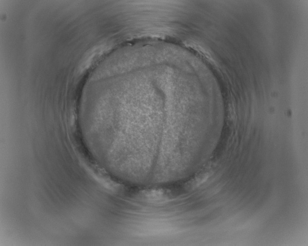 X0000076310687200610271940