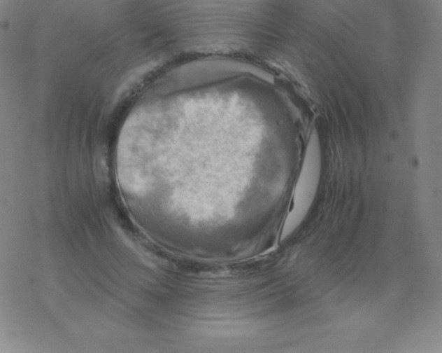 X0000076310688200610271940