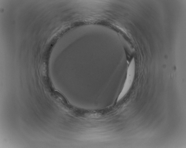 X0000076310689200610271940