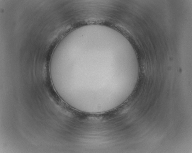 X0000076310690200610271940