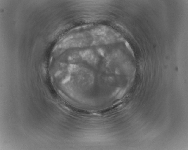 X0000076310691200610271940