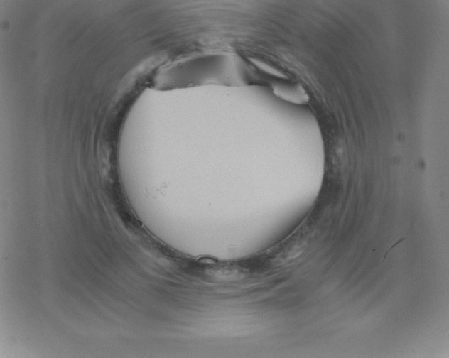 X0000076310693200610271939