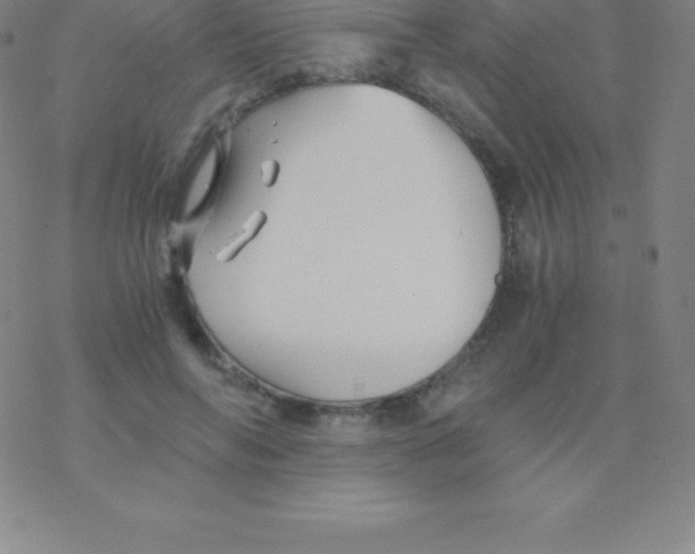 X0000076310694200610271939