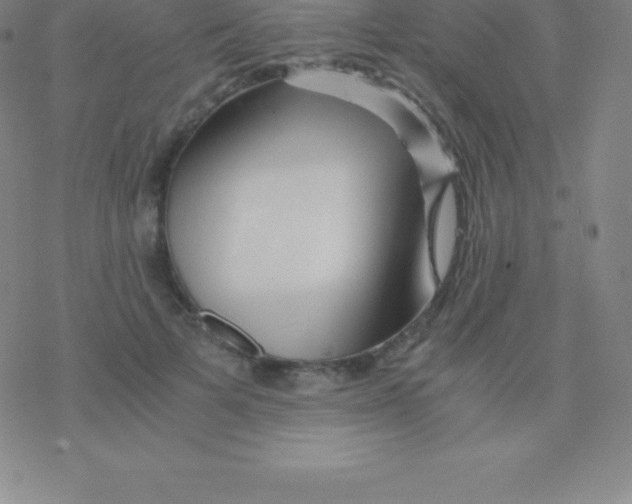 X0000076310697200610271939