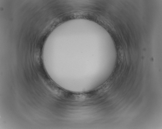 X0000076310698200610271939