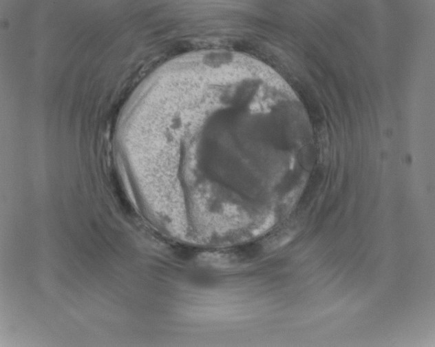 X0000076310699200610271939