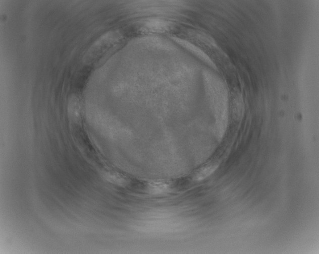 X0000076310701200610271939