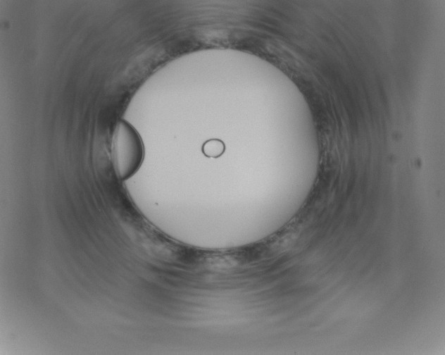 X0000076310702200610271939