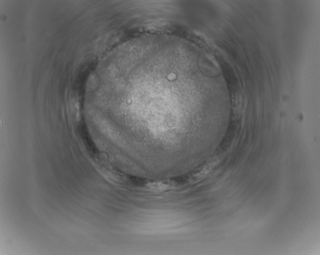 X0000076310703200610271939