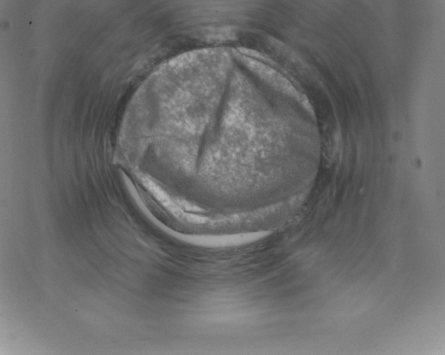 X0000076310704200610271939