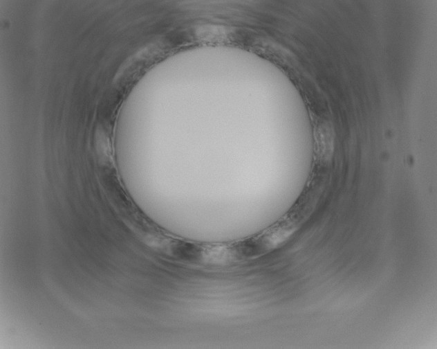 X0000076310705200610271939