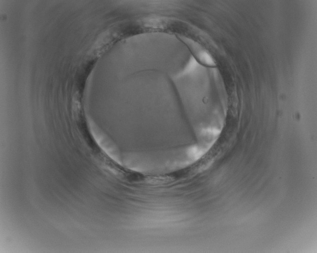 X0000076310707200610271939