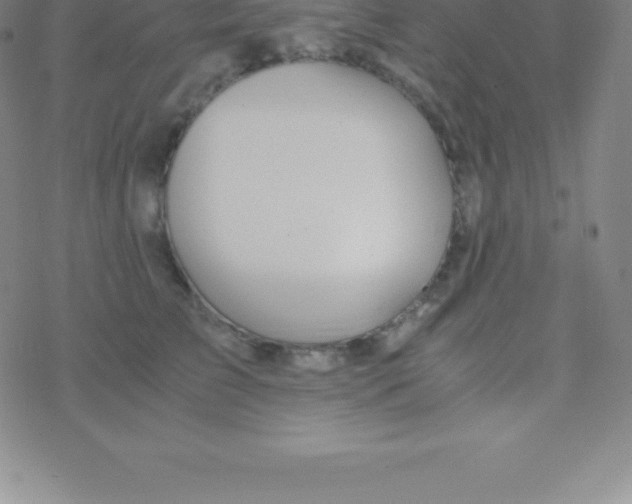 X0000076310709200610271939