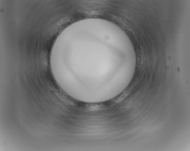 X0000076310710200610271939