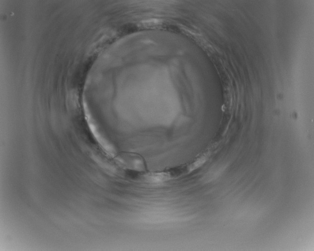 X0000076310711200610271939