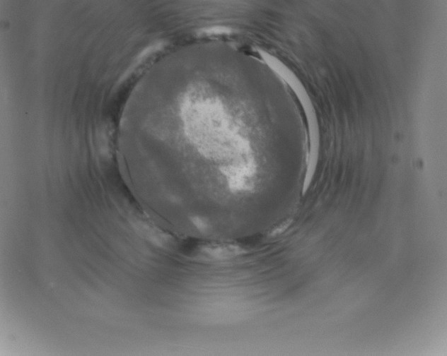 X0000076310712200610271939