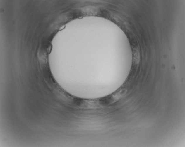 X0000076310713200610271939