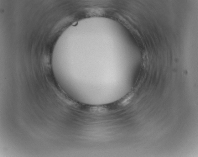 X0000076310714200610271939