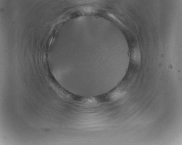 X0000076310715200610271939