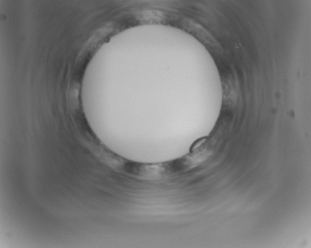 X0000076310717200610271939