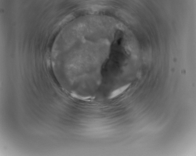 X0000076310719200610271939