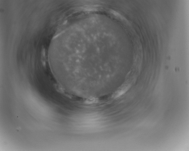 X0000076310720200610271939